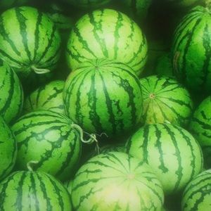 Meet your Posher, India